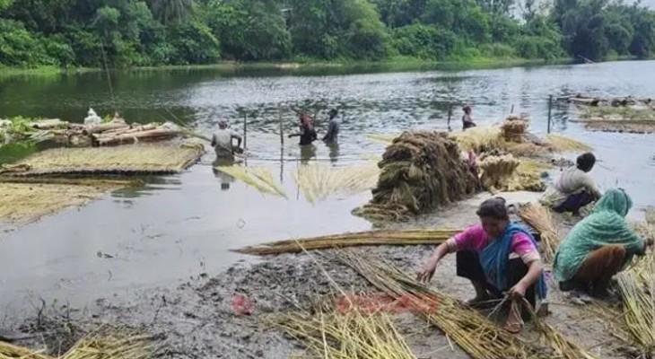 ধর্ম ও জীবন: ব্যস্ত মাগুরার কৃষক / দুই আঁটি আঁশ ছাড়ালে এক আঁটি পাটখড়ি পান শ্রমিক
